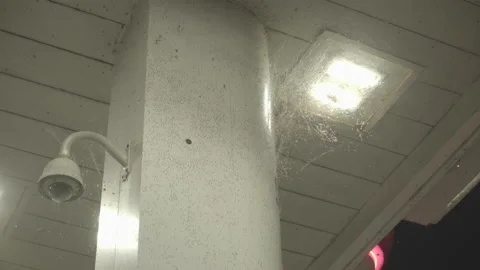 Bugs Gathering Around Light And Security Camera At A Gas Station Stock Footage 204766674