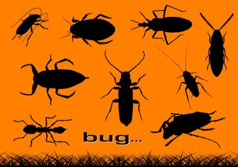 Bugs Illustrazione stock