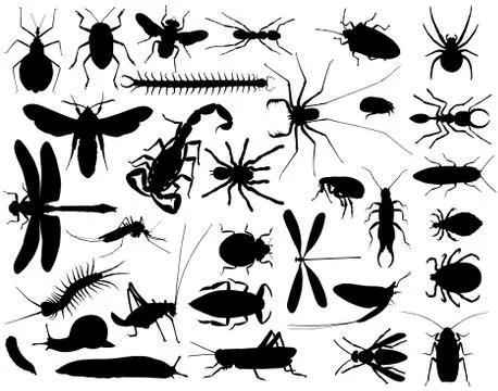 Bugs Illustrazione stock