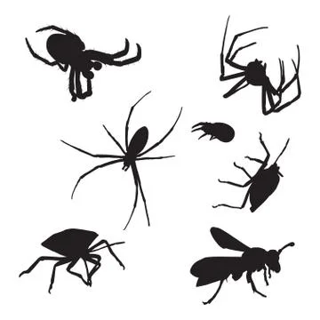 Bugs Stock Illustration