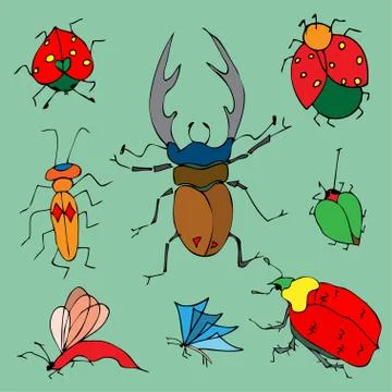 Bugs. Illustrazione stock