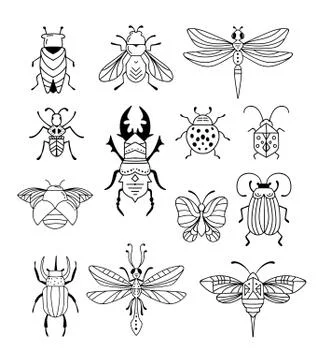 Bugs, insects, Butterfly, ladybug, beetle, swallowtail, dragonfly collection Stock Illustration