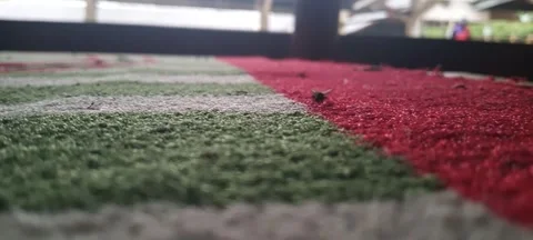 Bugs life Stock Footage 266979328