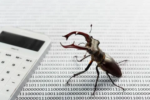 Bugs in programm binary code. Quality assurance. 스톡 사진