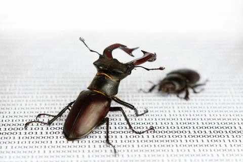 Bugs in programm binary code. Quality assurance. 写真素材
