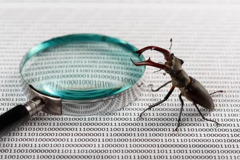 Bug's search in programm code. Testing software, quality assurance. Stock Photos