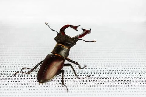 Bug's search in programm code. Testing software, quality assurance. Stock Photos