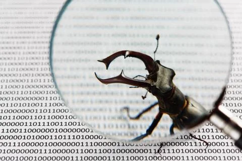 Bug's search in programm code. Testing software, quality assurance. Stock Photos