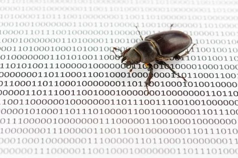Bug's search in programm code. Testing software, quality assurance. Stock Photos