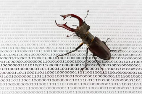 Bug's search in programm code. Testing software, quality assurance. Stock Photos