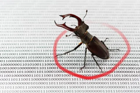 Bug's search in programm code. Testing software, quality assurance. Stock Photos