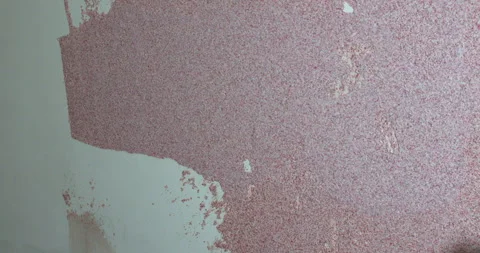 The builder performs finishing work on the walls. Stock Footage 309119476