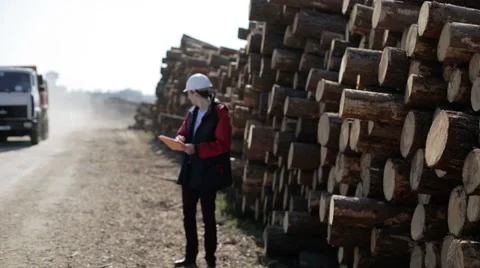A builder in a white helmet and red jacket checks the number of logs. Stock Footage 62770052