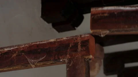 Builder worker with electric saw cutting wood log on construction site Stock Footage 208940034