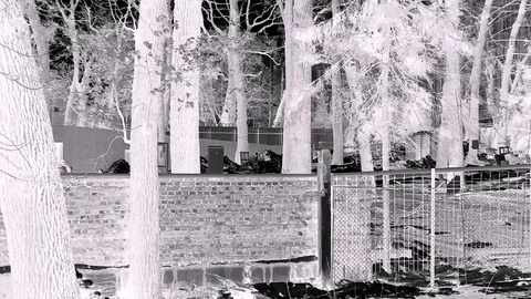 Builders In Fast Motion An Front View At Black White Tones Stock Footage 84028408