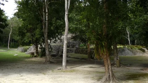 Building 16 - Temple of the Toucans (Edificio 16 - Templo de los Tucanes), Vidéo 237137490