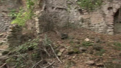 Building abandoned old rocks stone forest trees ivy vines countryside rural.. Vídeos de archivo 330468492