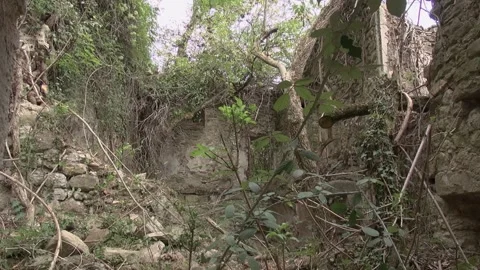 Building abandoned old rocks stone ivy vines forest rural derelict ruin sun.. Vídeos de archivo 330468493