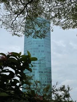 Building Among The Trees Stock Photos