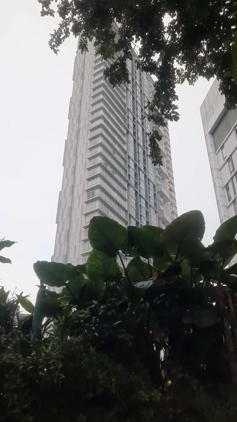 Building and Leaves, Vertical 4k Footage Video stock 328410892