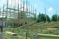 Building and Raising a Barn Footage