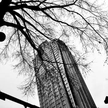 Building and tree branches Photos