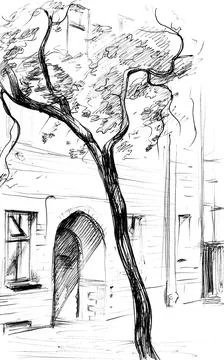 Building and tree. Stock Illustration