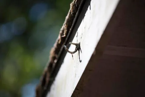 Building Awning Stock Photos