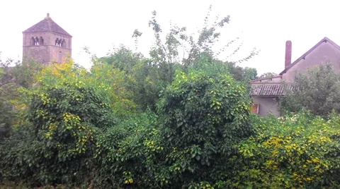 Building On A Background Of Trees Stock-Footage 68755632