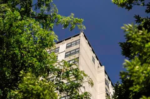 Building behind trees Stock Photos
