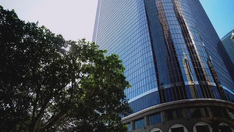 Building Bush Tree Sun Stock Footage 73094017