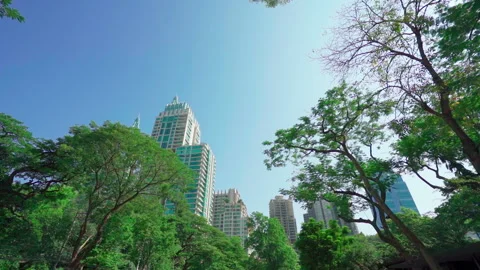 Building City view through park view Stock-Footage 158376716