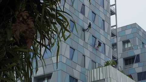 Building cleaning crew 動画素材 258782389