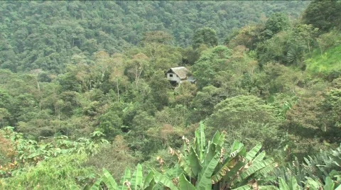 Building in Cloudforest of Peru Stock Footage 296443