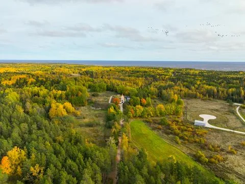 Building complex surrounded by vast autumn forest Stock Photos