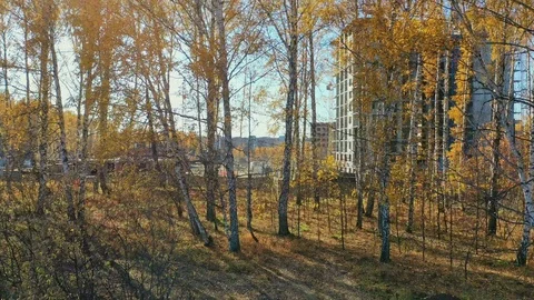 Building in Construction in autumn day Stock Footage 117469956