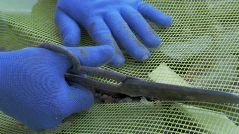 Building contractor cuting reinforcing mesh for rendering to insulate external Stock Footage 311365122