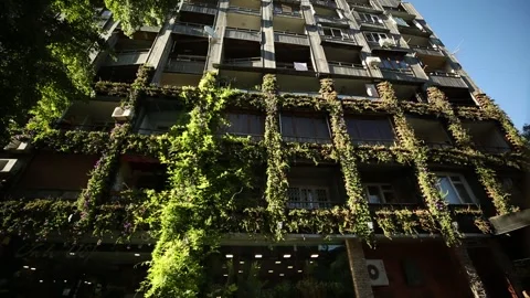 Building covered with green decorative grass 1 Video stock 331090441