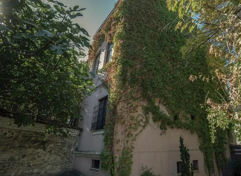 A building covered with vegetation. Stock Photos