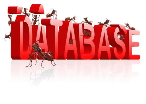 Building database ants collecting data Illustrazione stock