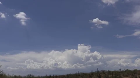 Building Desert Storm Stock Footage 80273620