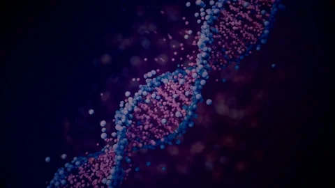 Building DNA molecule from elements. Stock Footage 120359157