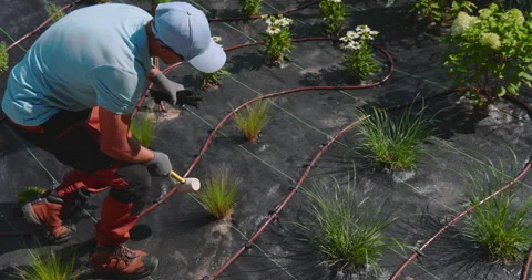 Building Drip Irrigation System Using a Hammer and Protective Gear Vídeos de archivo 281240029
