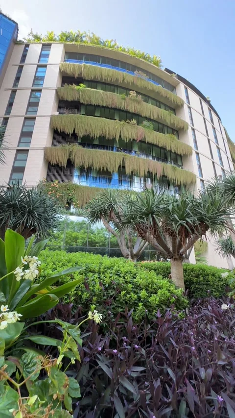 Building Facade Adorned with Climbing Plants and Lush Tropical Garden Video stock 319078593