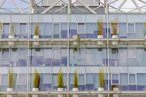 Building Facade Bamboo Pots Stock Photos