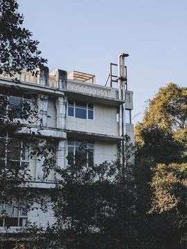 Building facade behind trees and blue sky Stock Photos