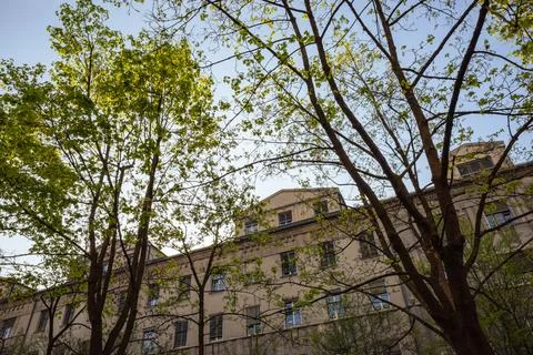 Building Facade Framed by Trees Under a Blue Sky – Ljubljana, Slovenia Stock Photos