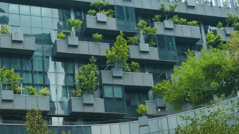 Building facade with green plants growth on the wall. Vertical garden in Bangkok Stock Footage 315845544