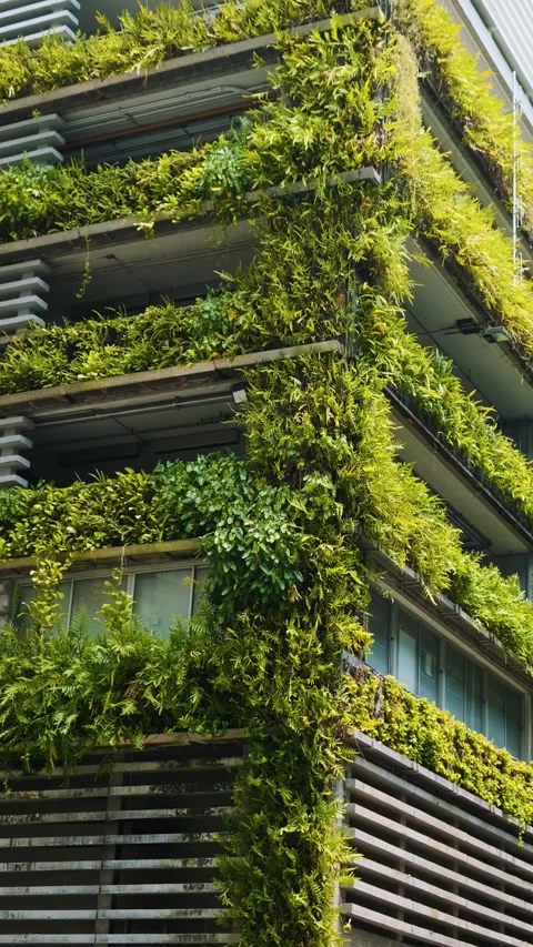 Building facade with green plants growth on the wall. Vertical garden in Bangkok Stock Footage 315856573