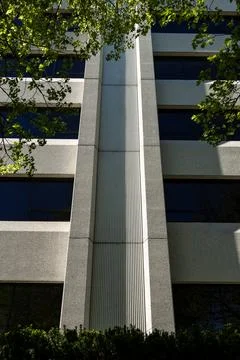 Building facade with tree branches in view during daylight hours in an urba.. Fotos de archivo